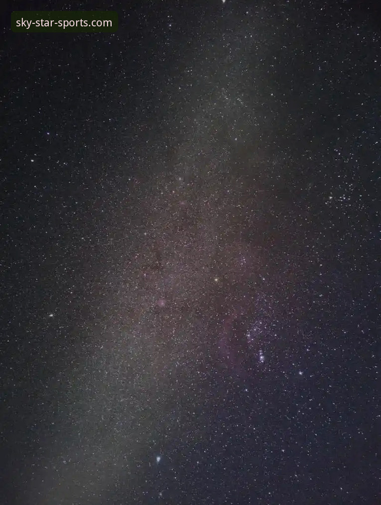 星空体育平台到底怎么样？3个关键维度帮你判断